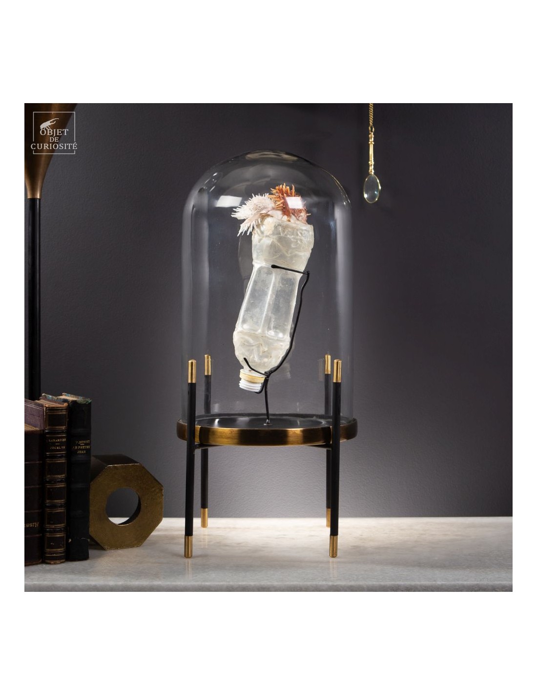 Les nouvelles curiosités : Bouteille... Les nouvelles curiosités : Bouteille...