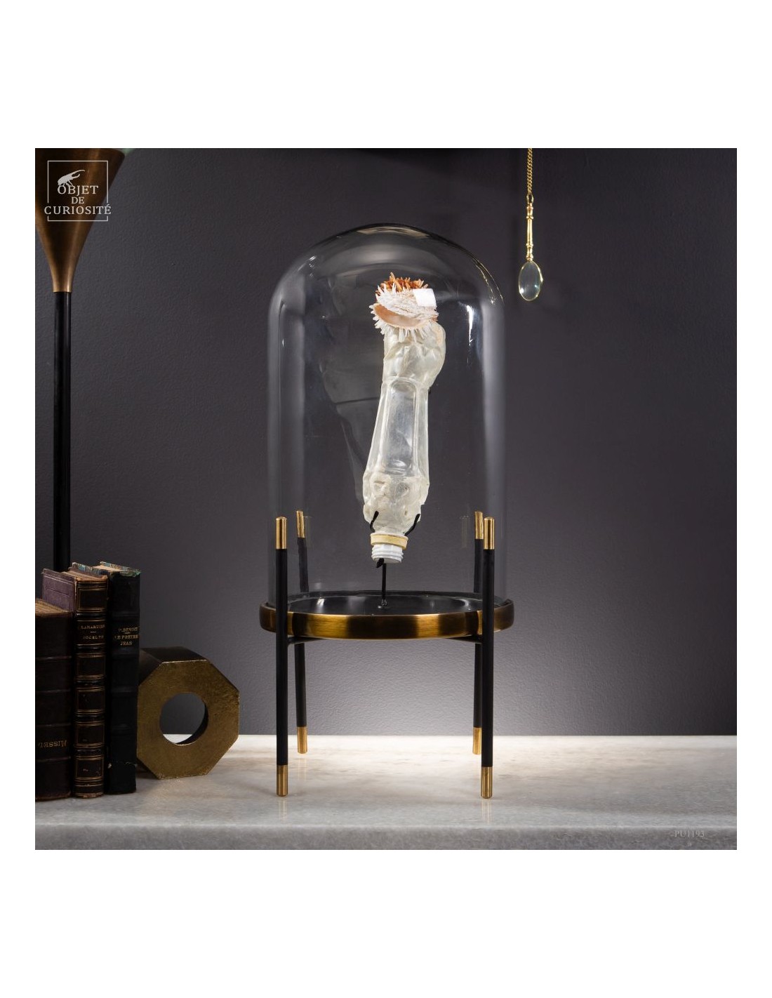 Les nouvelles curiosités : Bouteille... Les nouvelles curiosités : Bouteille...