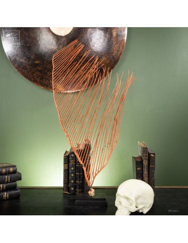 gorgone LYRE orange sur base noire gorgone LYRE orange sur base noire