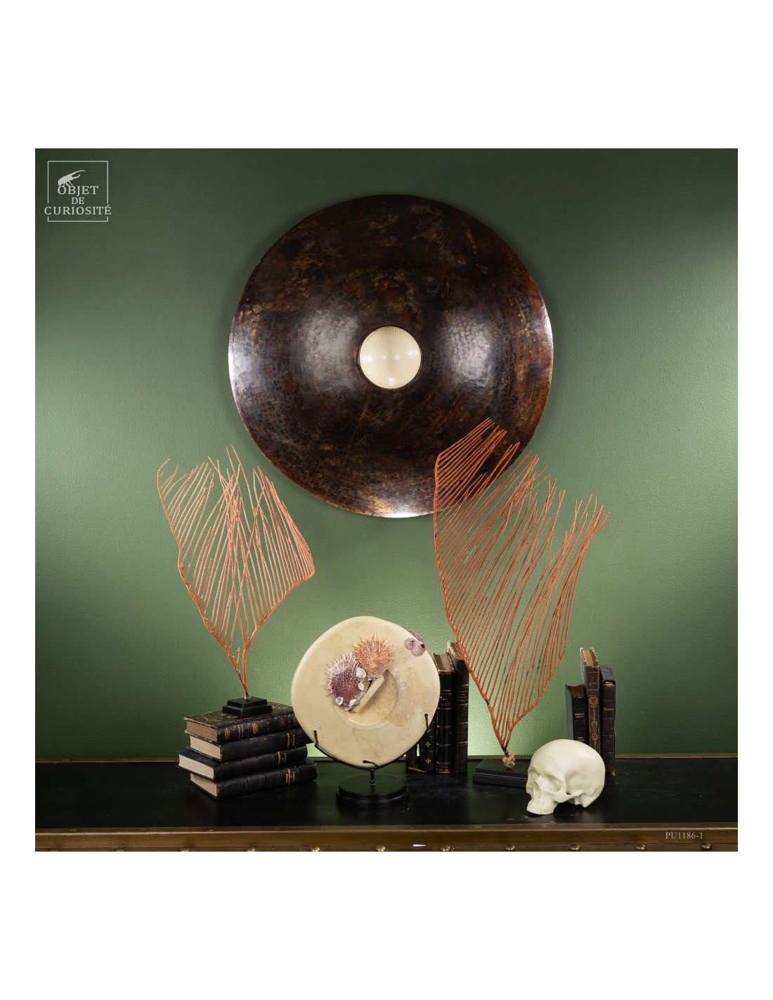 gorgone LYRE orange sur base noire gorgone LYRE orange sur base noire