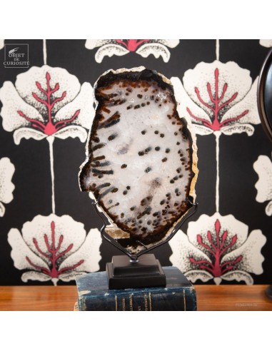 Agate en tranche (Brésil) base noire