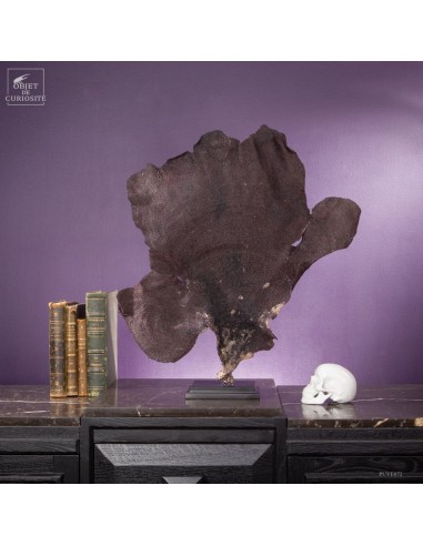 Purple fan sponge on black base