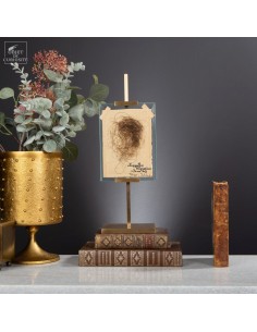 Mammoth hair on brass...