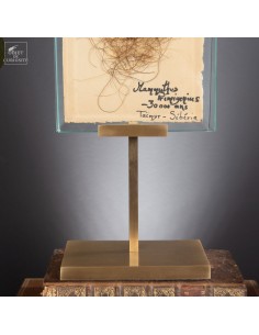 Mammoth hair on brass... 2