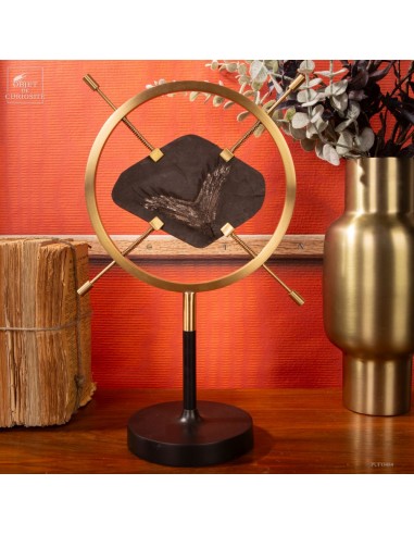 Fossile de queue de poisson sur... Fossile de queue de poisson sur...