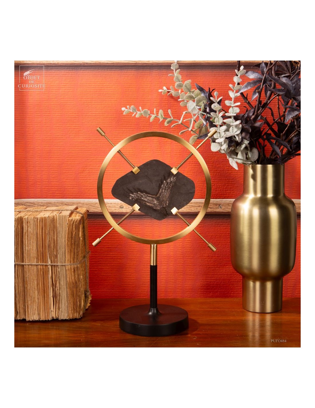 Fossile de queue de poisson sur... Fossile de queue de poisson sur...