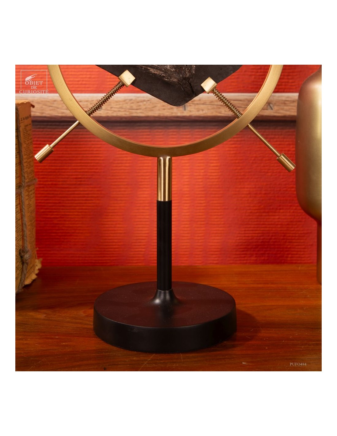 Fossile de queue de poisson sur... Fossile de queue de poisson sur...