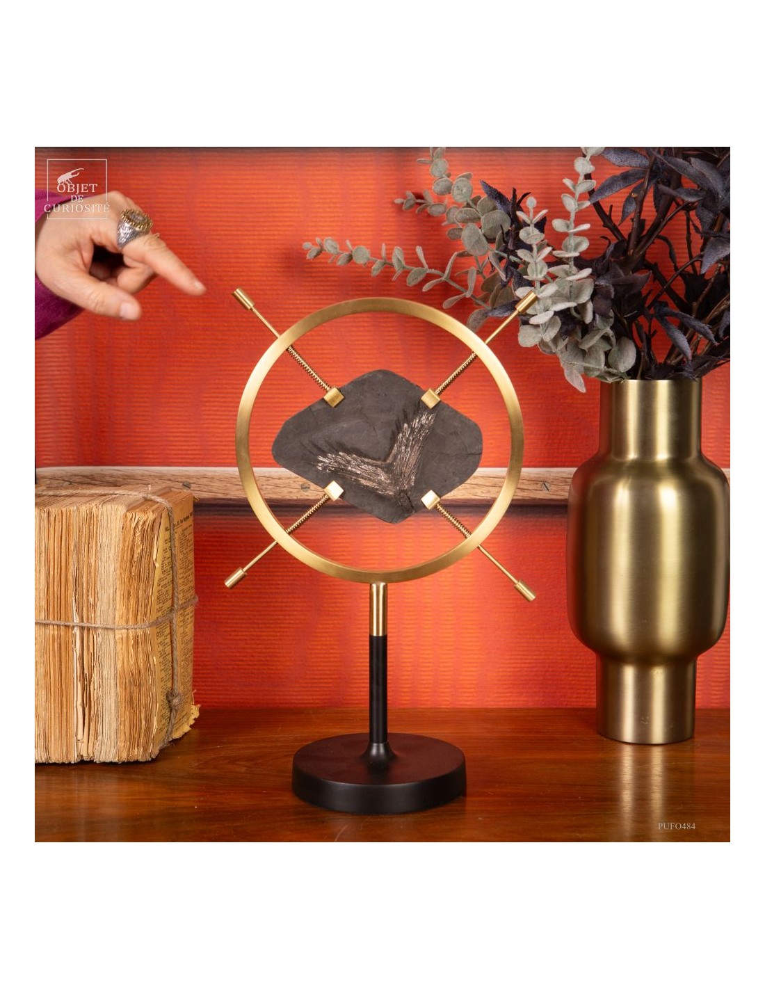 Fossile de queue de poisson sur... Fossile de queue de poisson sur...