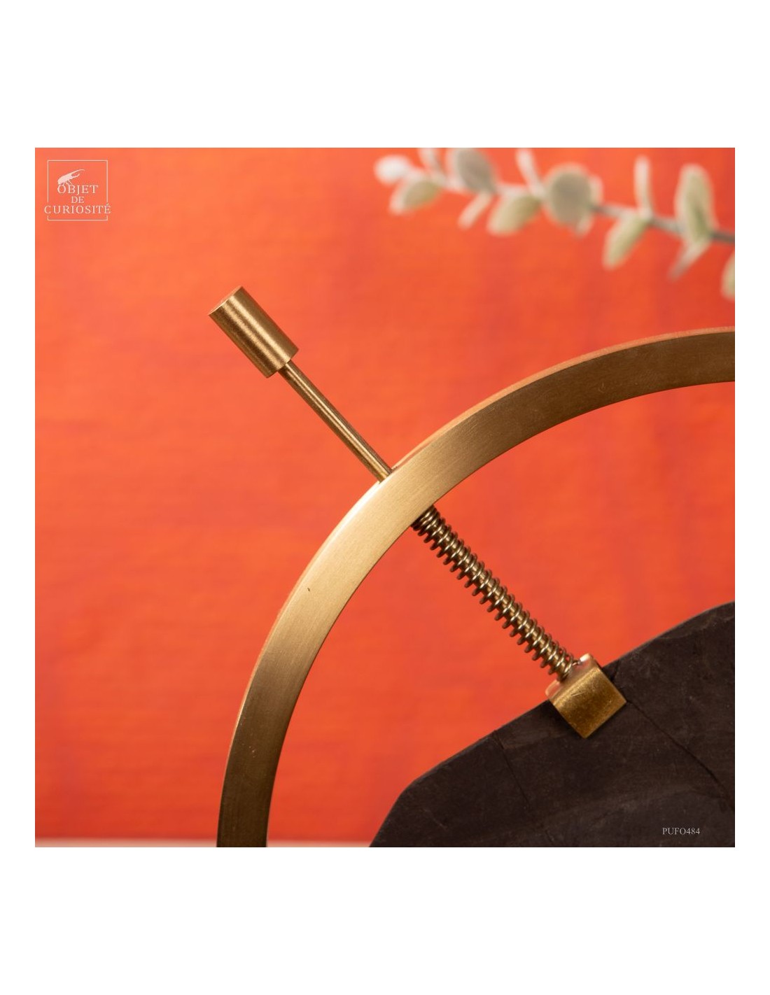 Fossile de queue de poisson sur... Fossile de queue de poisson sur...