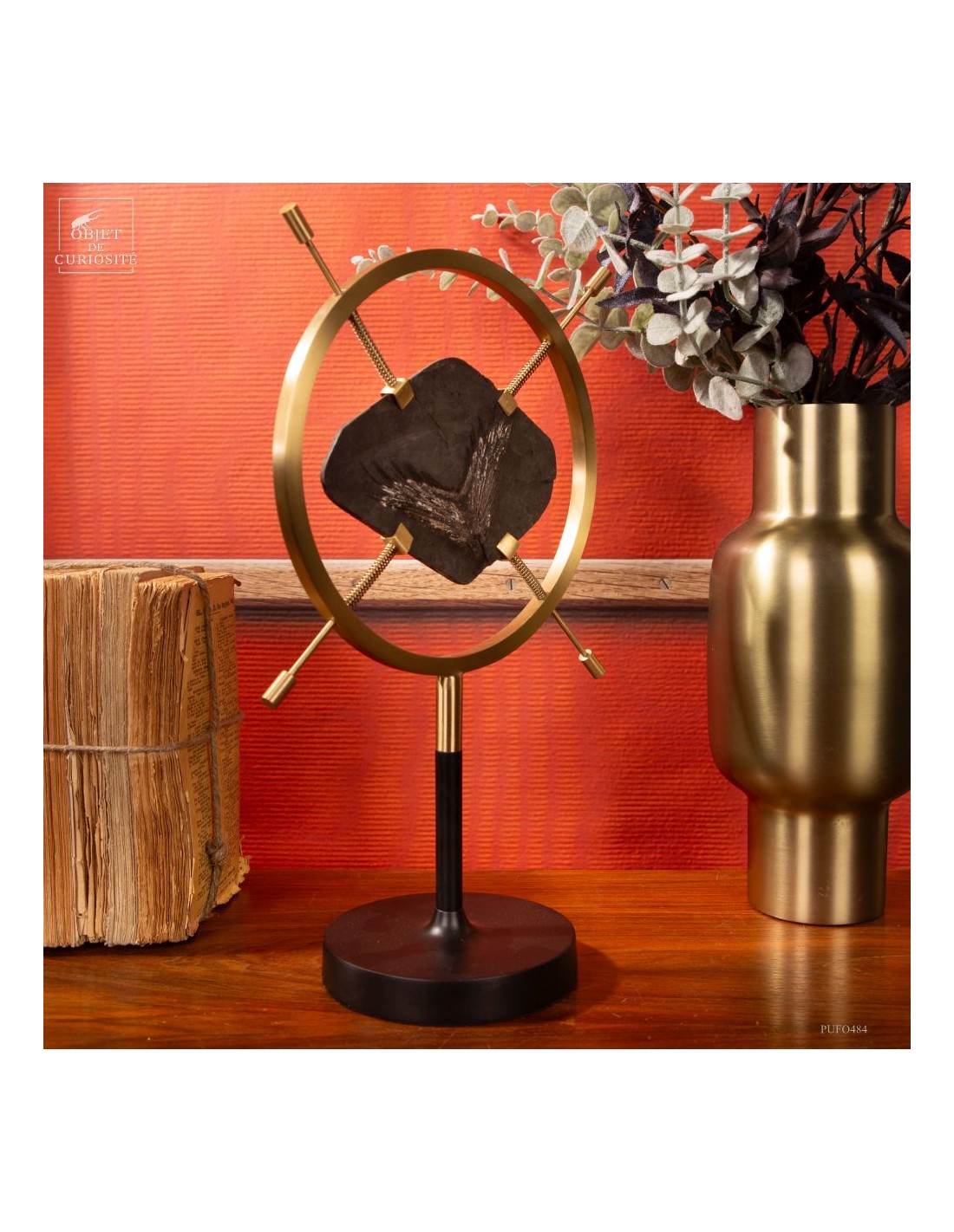 Fossile de queue de poisson sur... Fossile de queue de poisson sur...