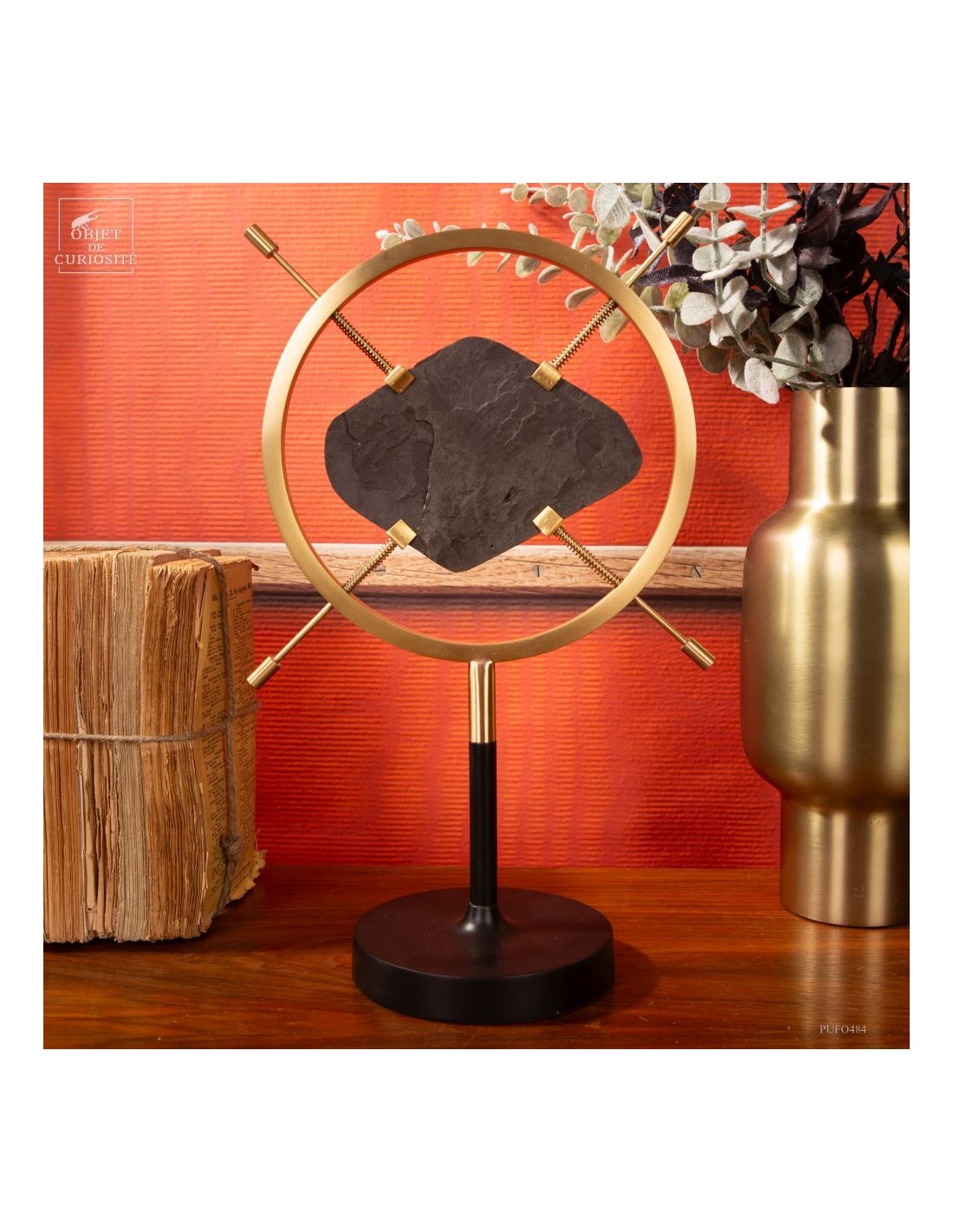 Fossile de queue de poisson sur... Fossile de queue de poisson sur...