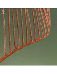 Lyre gorgonian on black stand 2