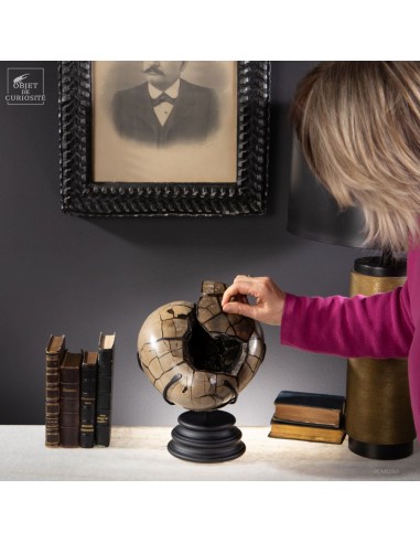 Heart of septaria with opening... Heart of septaria with opening...