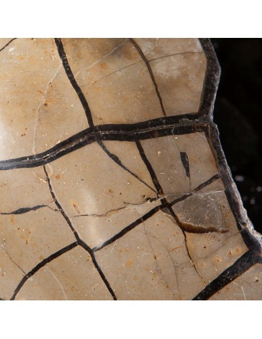 Heart of septaria with opening... Heart of septaria with opening...