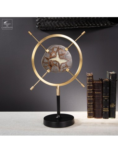 Utah Septaria Slice round brass display