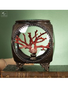 Mediteranean sea red coral...