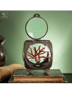 Mediteranean sea red coral... 2