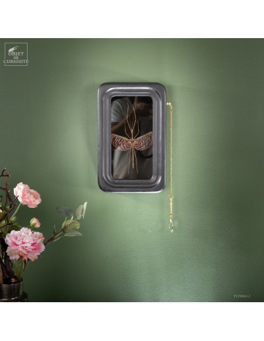 Phasme tesselé - Diesbachia tamyris -... Phasme tesselé - Diesbachia tamyris -...