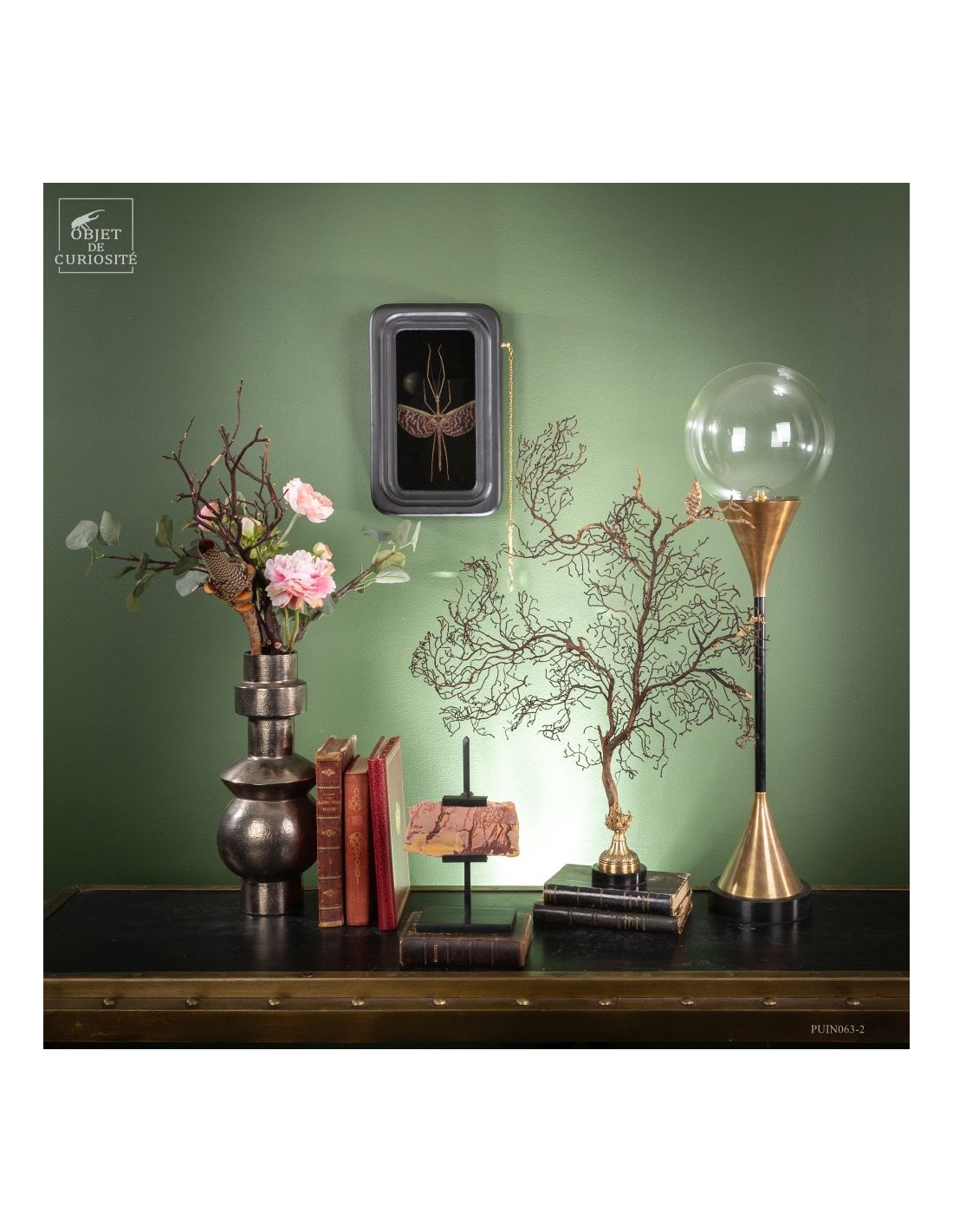 Phasme tesselé - Diesbachia tamyris -... Phasme tesselé - Diesbachia tamyris -...