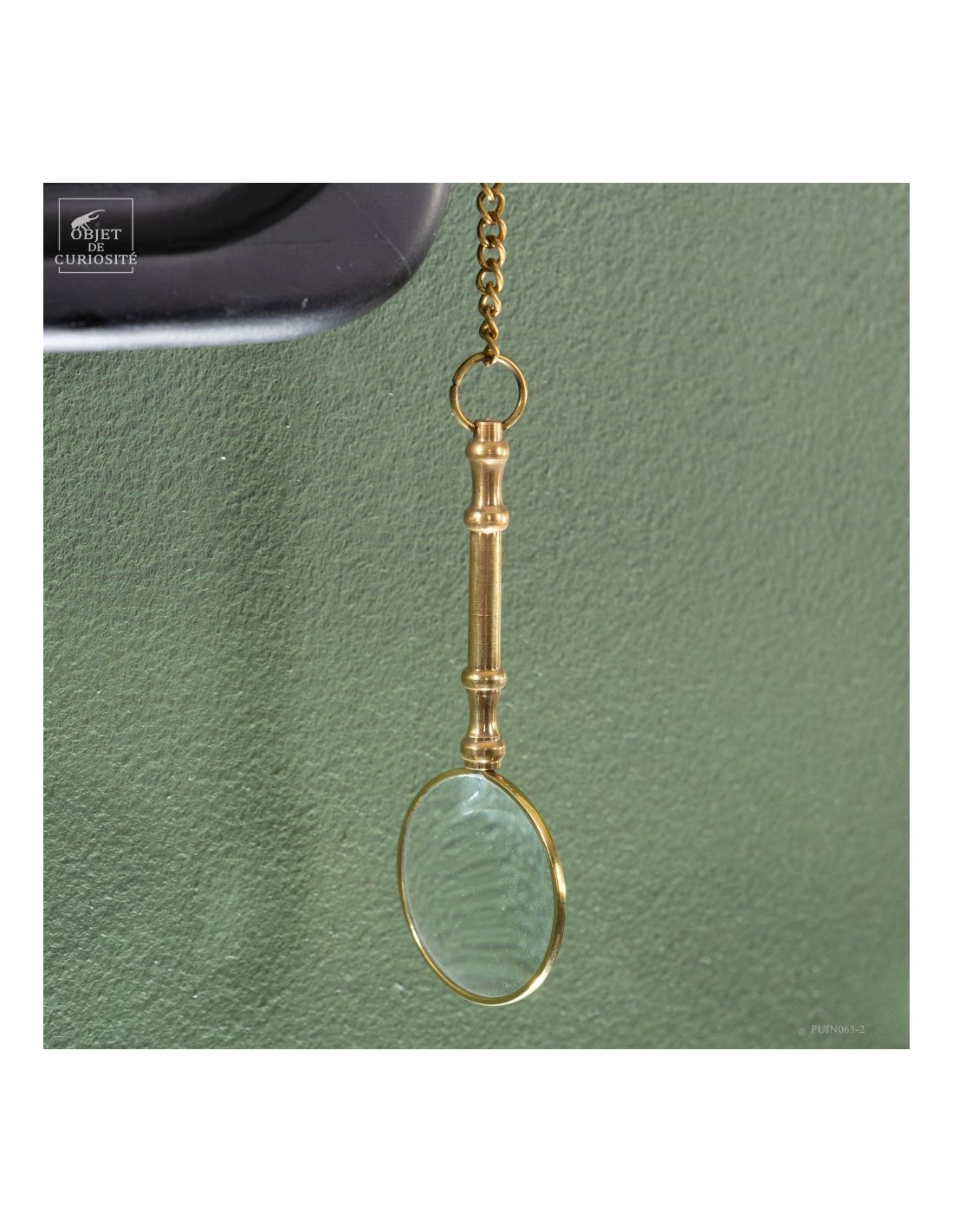 Phasme tesselé - Diesbachia tamyris -... Phasme tesselé - Diesbachia tamyris -...