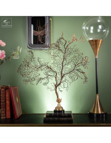 Gorgone marron de Micronésie sur base...