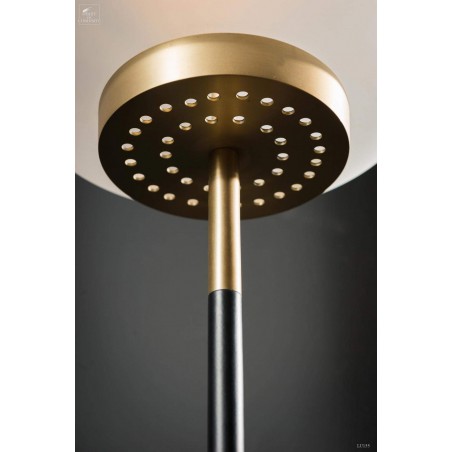 Floor lamp with frozen glass