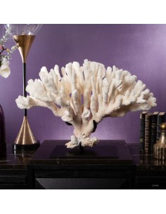 White coral  POCILLOPORA...