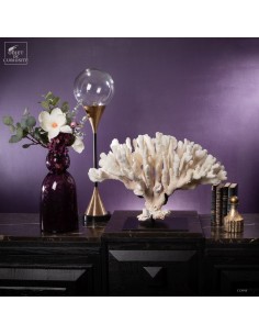 White coral  POCILLOPORA... 2