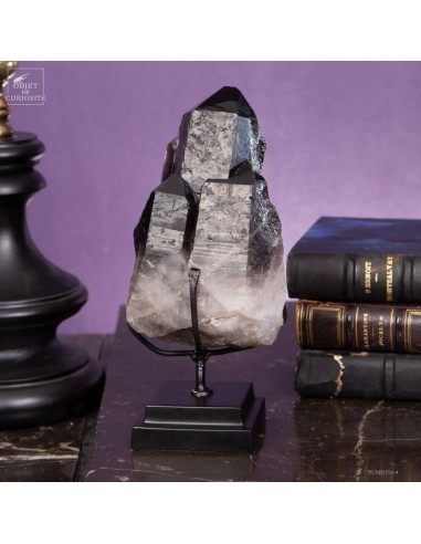 multi-tips Black Brazilian quartz