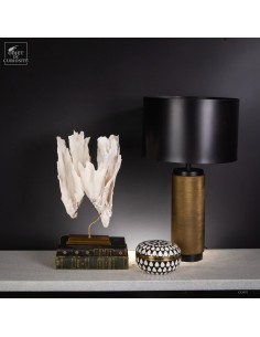 Corail blanc PACHYSERIS... 2