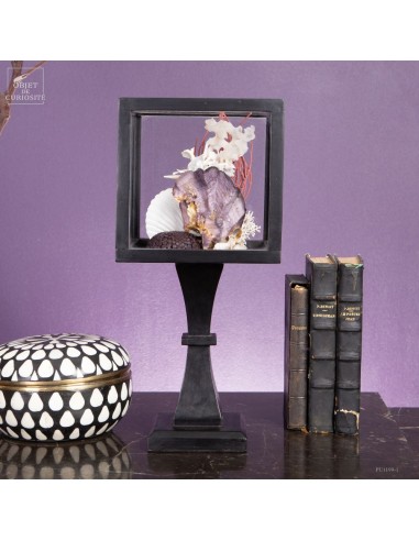 Composition marine sous globe Composition marine sous globe