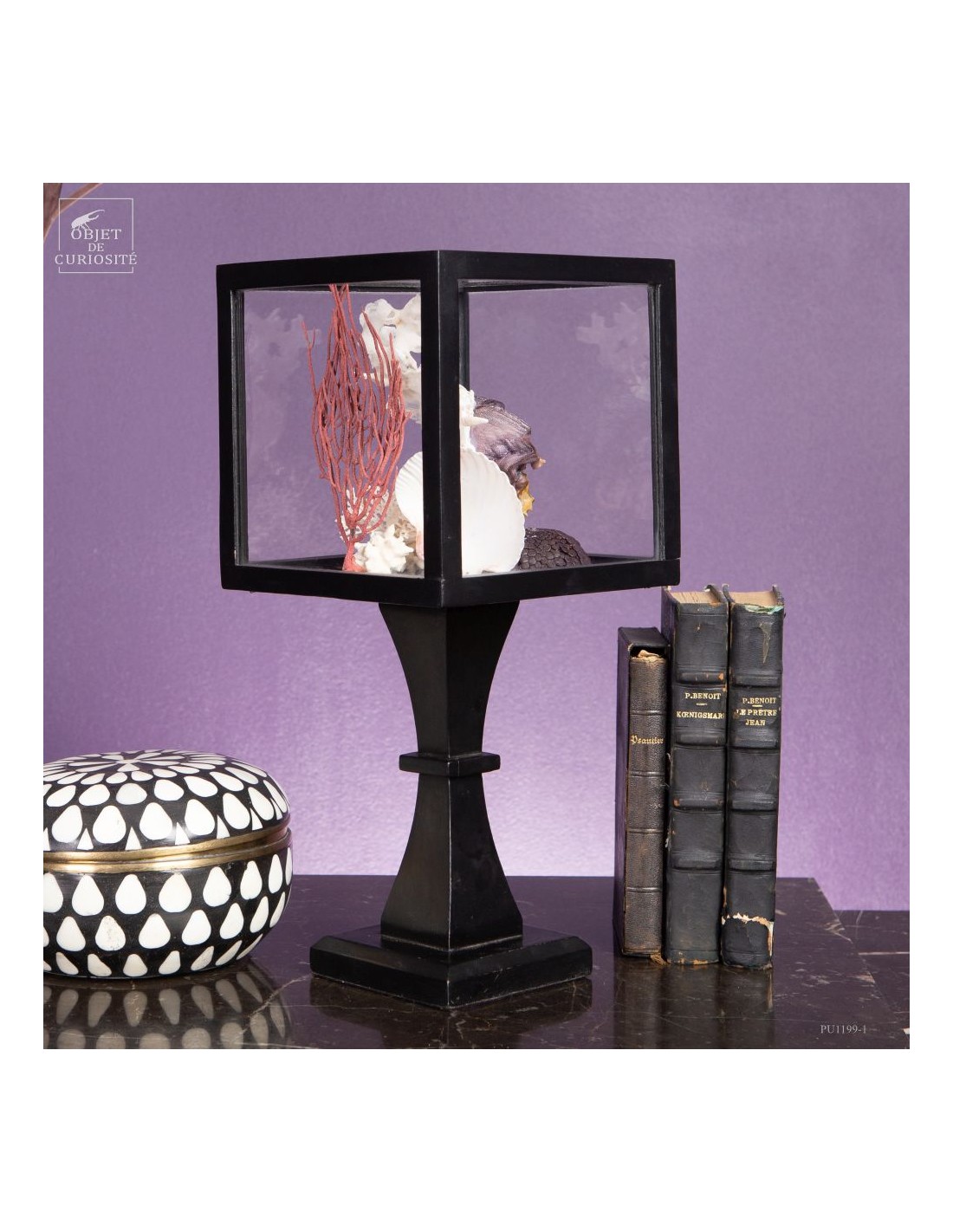 Composition marine sous globe Composition marine sous globe