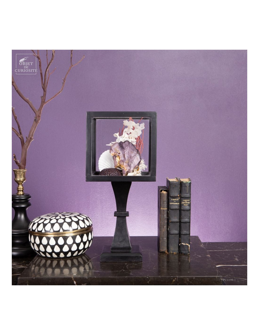 Composition marine sous globe Composition marine sous globe