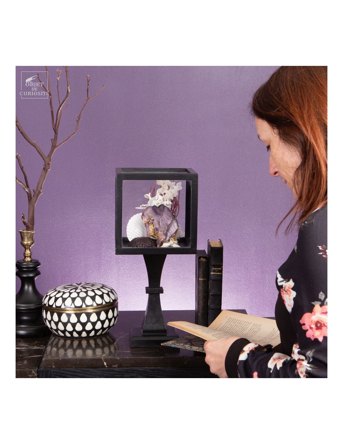 Composition marine sous globe Composition marine sous globe