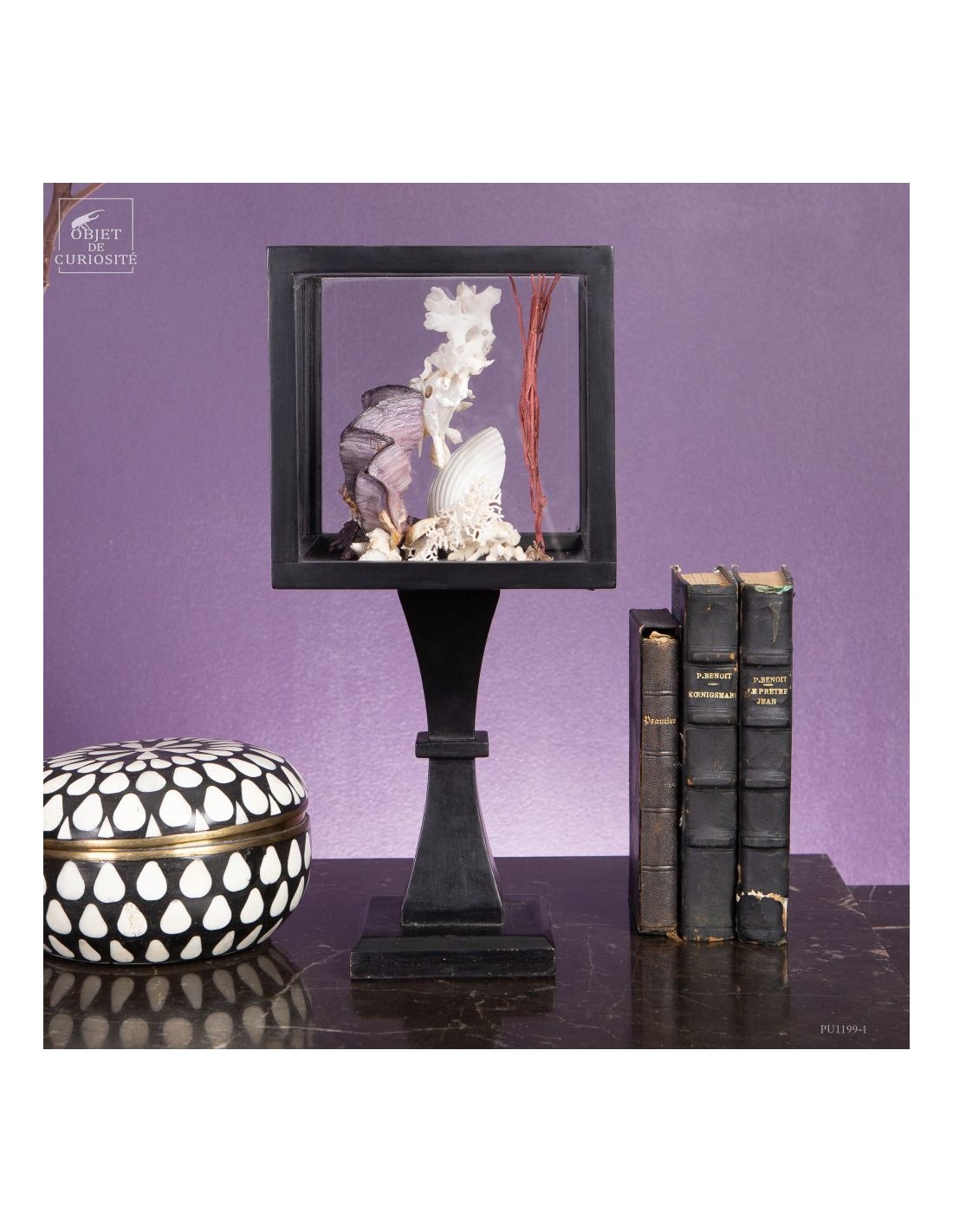 Composition marine sous globe Composition marine sous globe