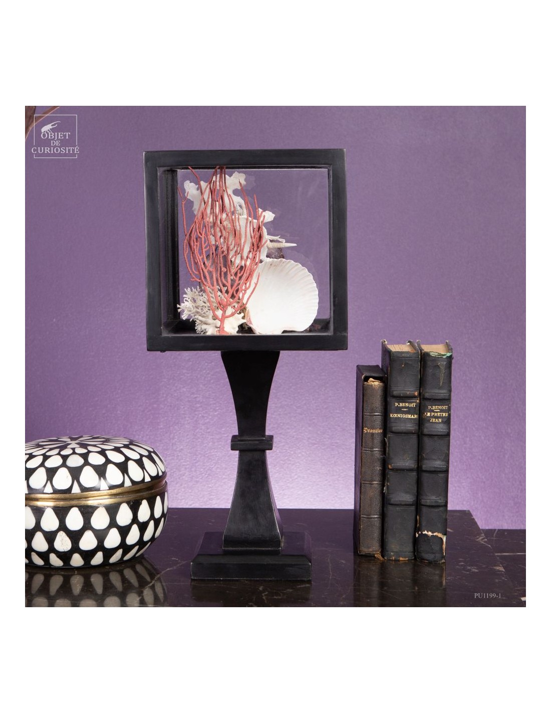 Composition marine sous globe Composition marine sous globe