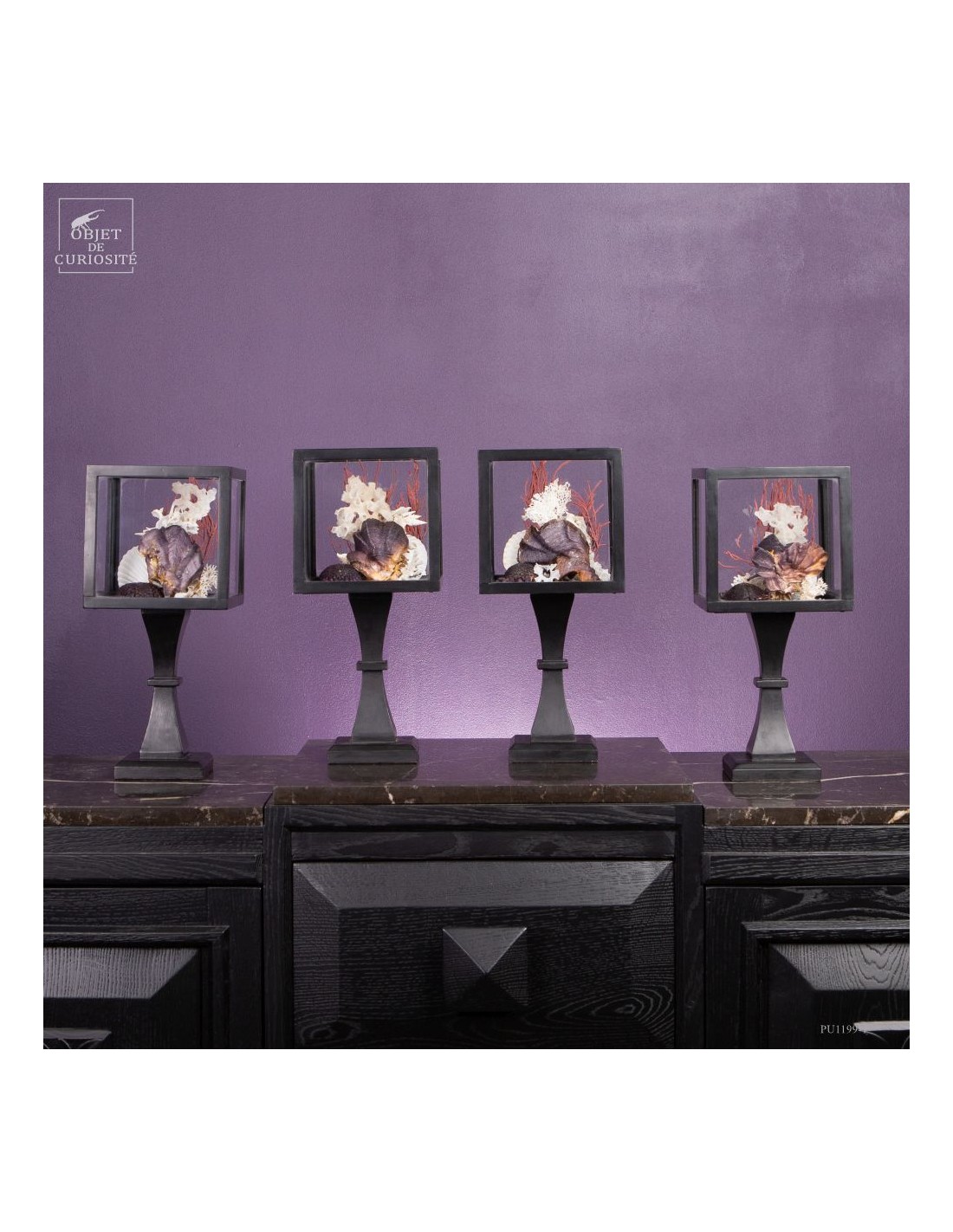 Composition marine sous globe Composition marine sous globe