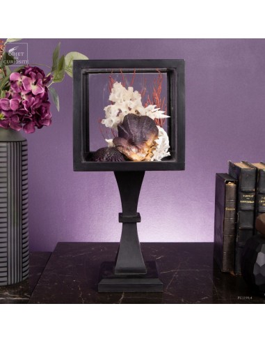 Composition marine sous globe Composition marine sous globe