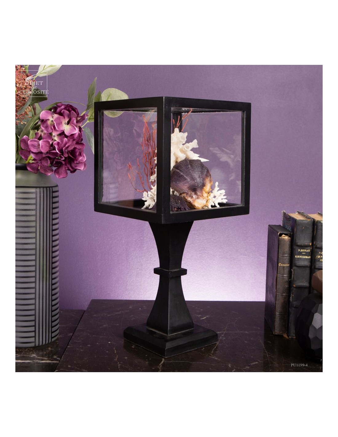 Composition marine sous globe Composition marine sous globe