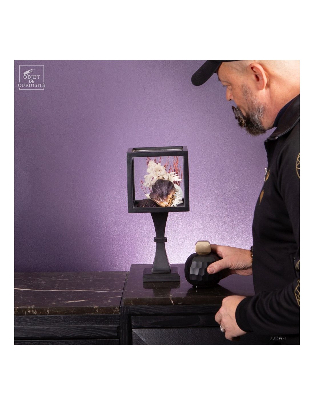 Composition marine sous globe Composition marine sous globe