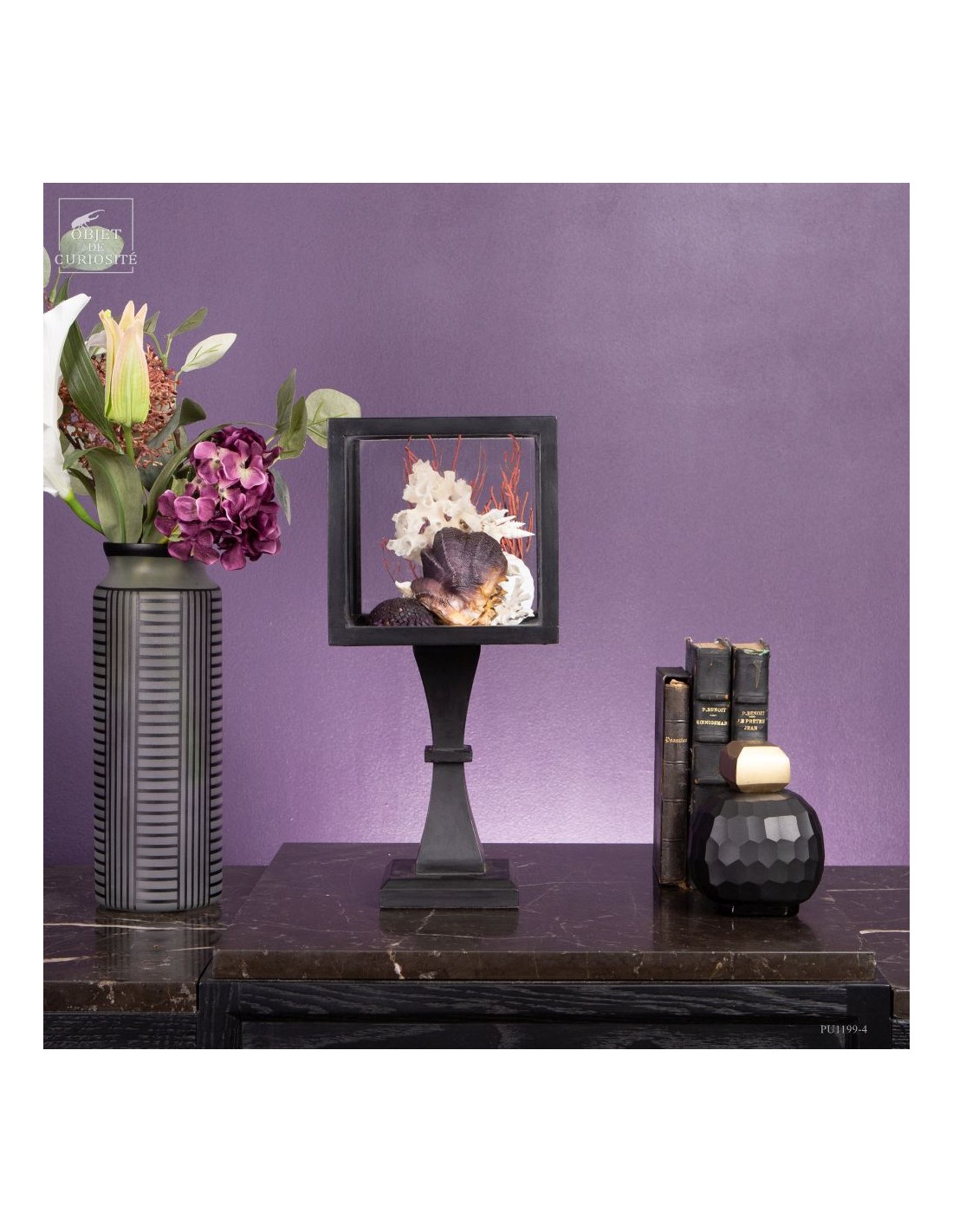 Composition marine sous globe Composition marine sous globe