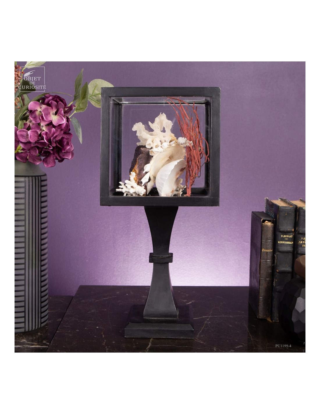 Composition marine sous globe Composition marine sous globe