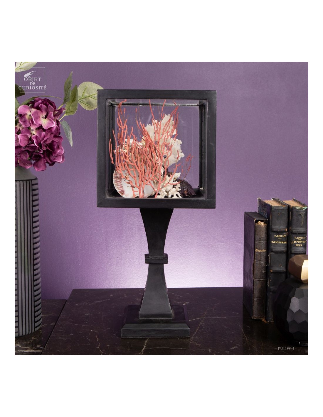 Composition marine sous globe Composition marine sous globe