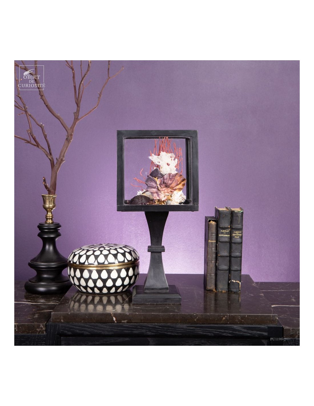 Composition marine sous globe Composition marine sous globe