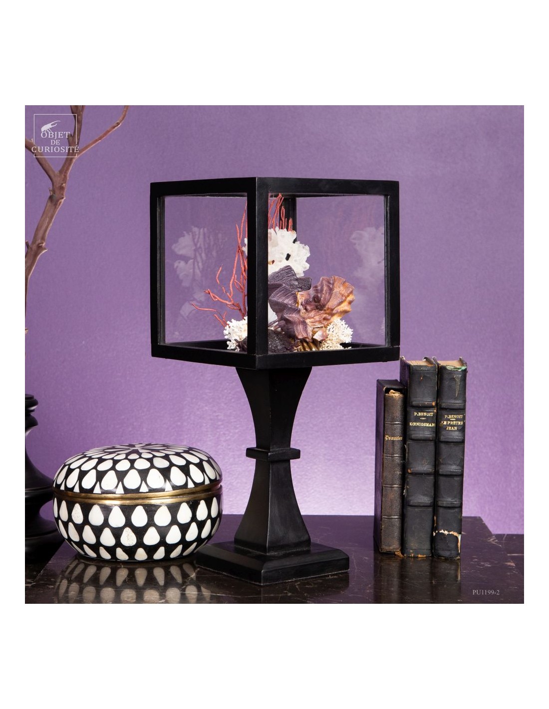 Composition marine sous globe Composition marine sous globe