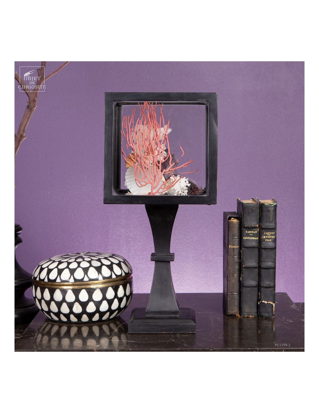 Composition marine sous globe Composition marine sous globe