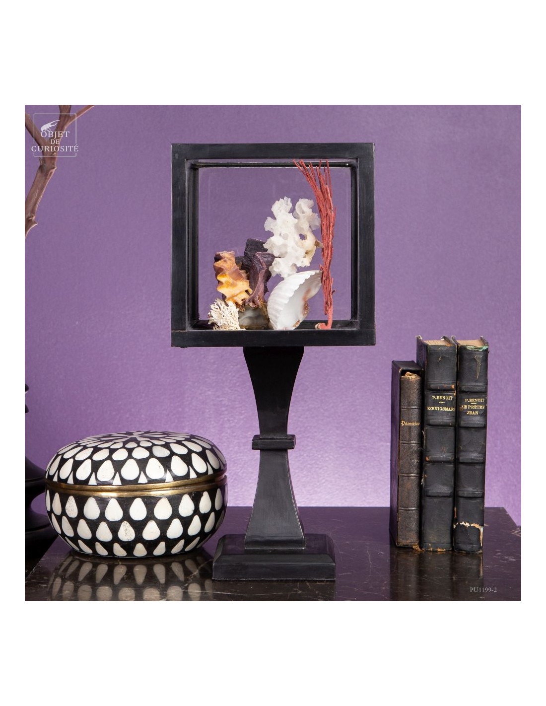 Composition marine sous globe Composition marine sous globe