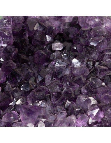 Améthyste d'Uruguay en cage Améthyste d'Uruguay en cage