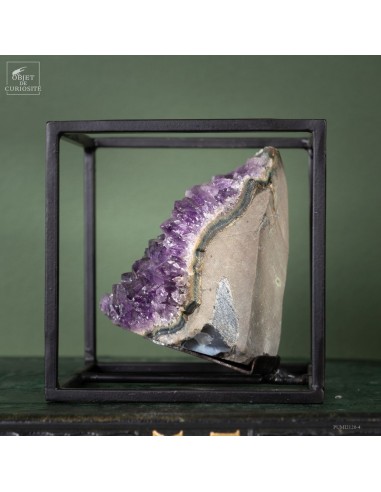 Améthyste d'Uruguay en cage Améthyste d'Uruguay en cage