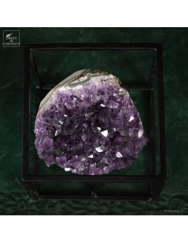 Améthyste d'Uruguay en cage Améthyste d'Uruguay en cage